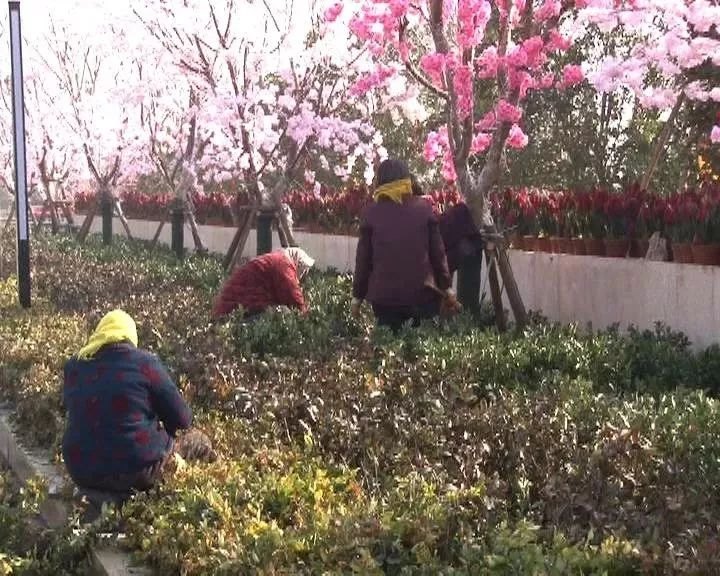 冒险岛图鉴,冒险岛图鉴：奇幻世界的冒险之旅